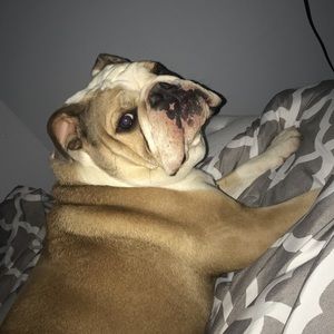 Meet your Posher, Savannah